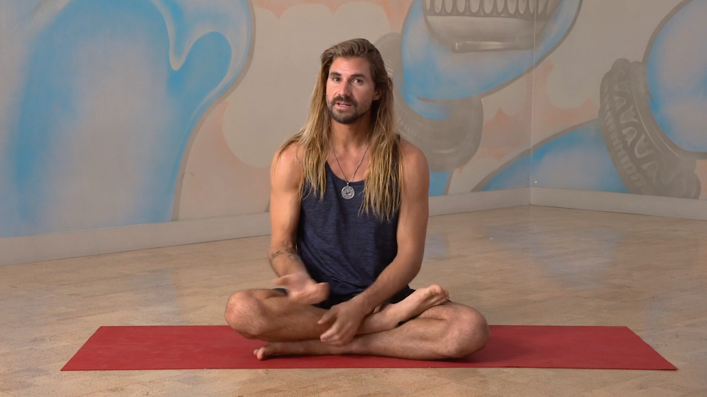 six stages of yin truth robinson yogaholics power living australia yoga online yoga
